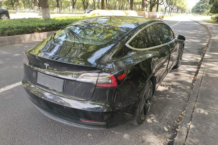 Used Tesla Model 3 2019 Long-Range Rear-Wheel-Drive Version Rear Right 45 Deg