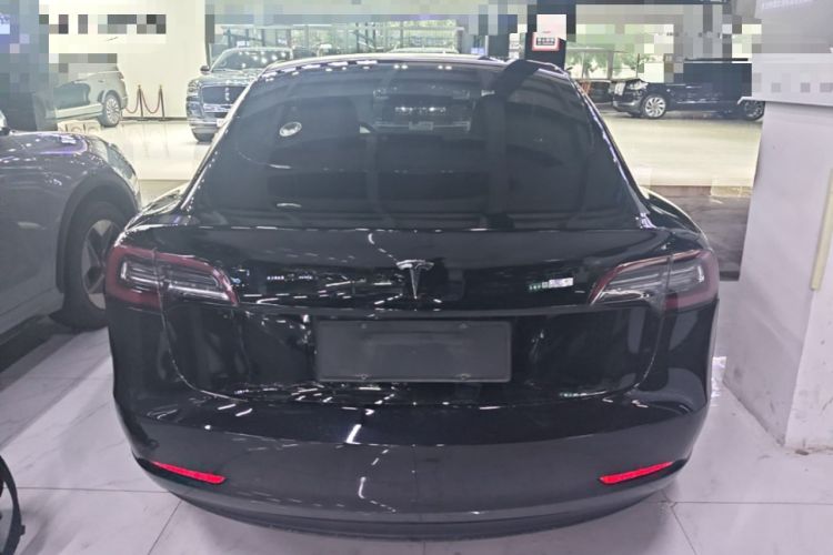 Used Tesla Model 3 2019 Long-Range Rear-Wheel-Drive Version Rear