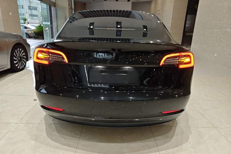 Used Tesla Model 3 2019 Long-Range All-Wheel-Drive Version Rear