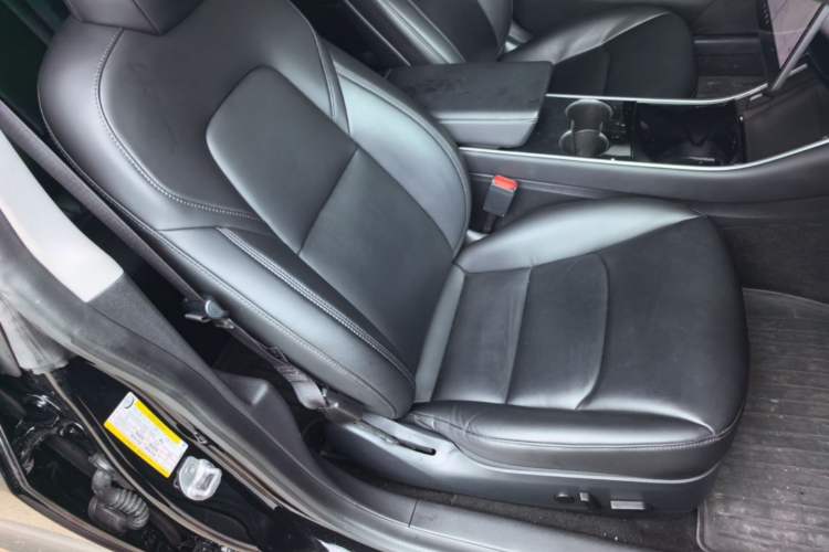 Used Tesla Model 3 2019 Standard Range Rear-Drive Upgraded Version Right Front Seat