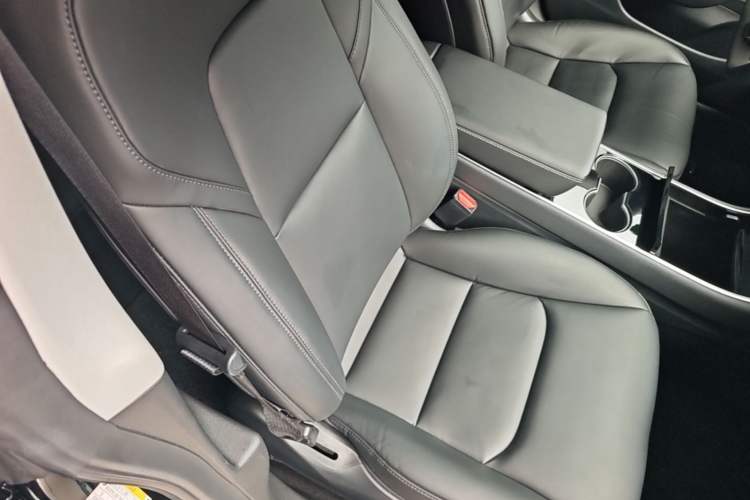 Used Tesla Model 3 2019 Standard Range Rear-Drive Upgraded Version Right Front Seat