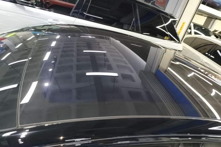 Used Tesla Model 3 2019 Long-Range All-Wheel-Drive Version Roof