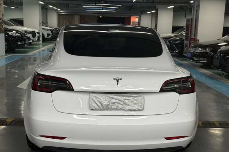 Used Tesla Model 3 2019 Long-Range Rear-Wheel-Drive Version Roof