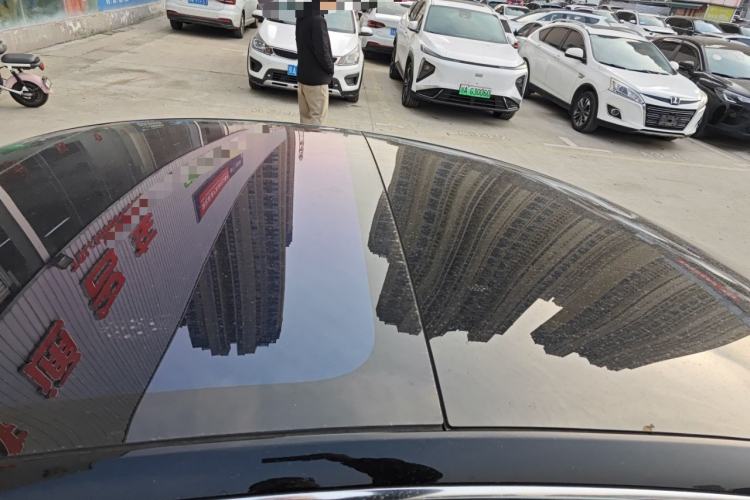 Used Tesla Model 3 2019 Long-Range Rear-Wheel-Drive Version Roof