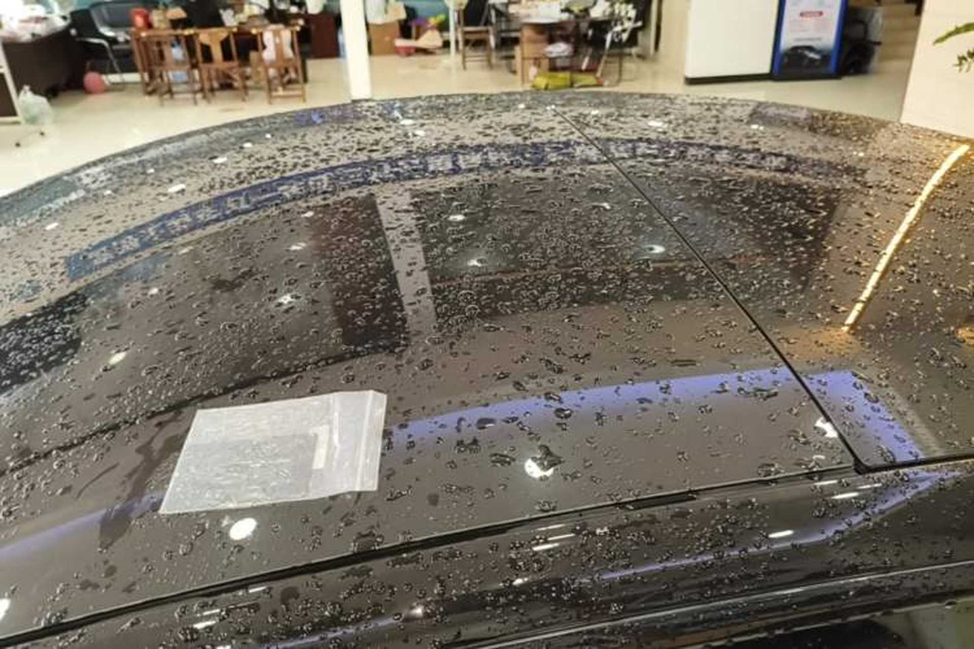 Used Tesla Model 3 2019 Performance High-Performance All-Wheel-Drive Version Roof