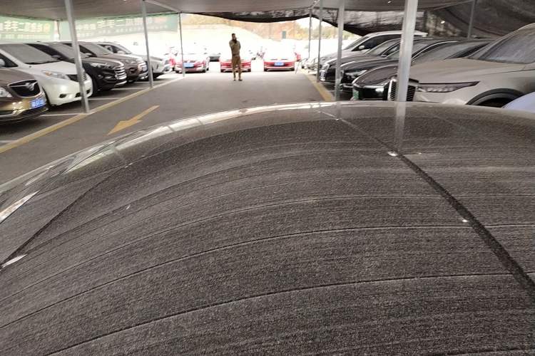 Used Tesla Model 3 2019 Standard Range Rear-Drive Upgraded Version Roof