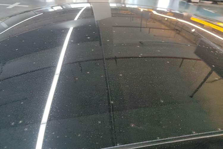 Used Tesla Model 3 2019 Long-Range All-Wheel-Drive Version Roof