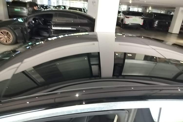 Used Tesla Model 3 2019 Long-Range All-Wheel-Drive Version Roof