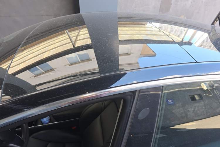 Used Tesla Model 3 2019 Standard Range Rear-Drive Upgraded Version Roof