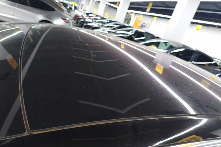 Used Tesla Model 3 2019 Long-Range Rear-Wheel-Drive Version Roof