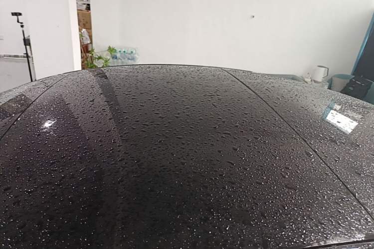 Used Tesla Model 3 2019 Long-Range All-Wheel-Drive Version Roof