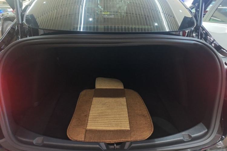 Used Tesla Model 3 2019 Standard Range Rear-Drive Upgraded Version Trunk