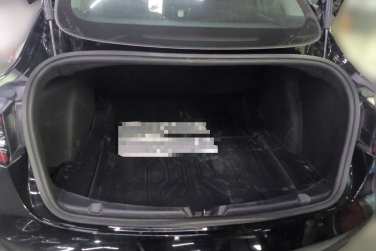 Used Tesla Model 3 2019 Standard Range Rear-Drive Upgraded Version Trunk