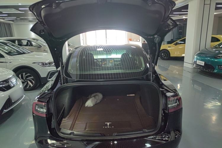 Used Tesla Model 3 2019 Standard Range Rear-Drive Upgraded Version Trunk