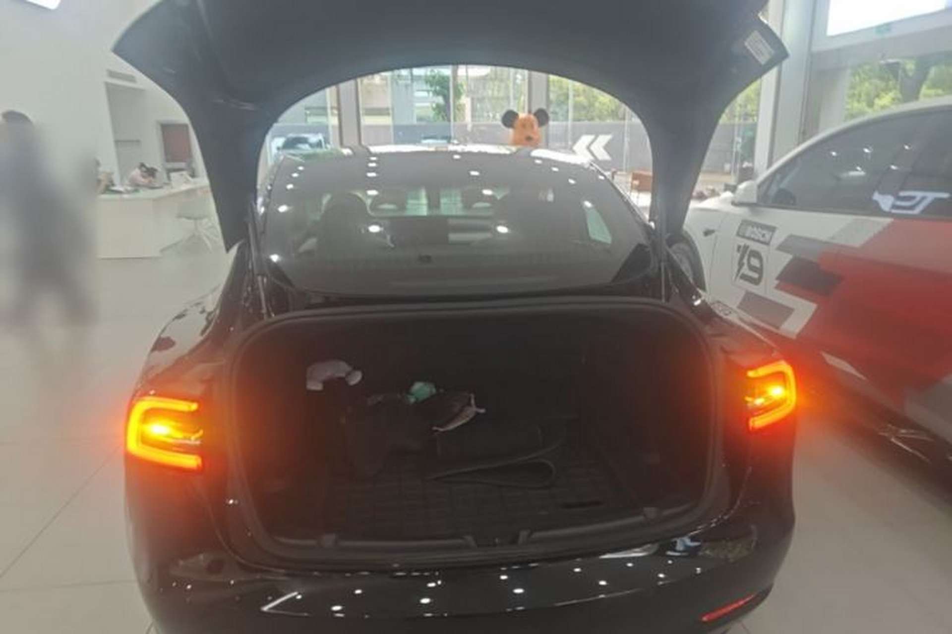 Used Tesla Model 3 2019 Long-Range All-Wheel-Drive Version Trunk