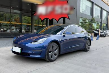 Used Tesla Model 3 2019 Long-Range Rear-Wheel-Drive Version
