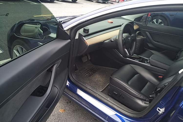Used Tesla Model 3 2019 Standard Range Rear-Drive Upgraded Version Driver Seat