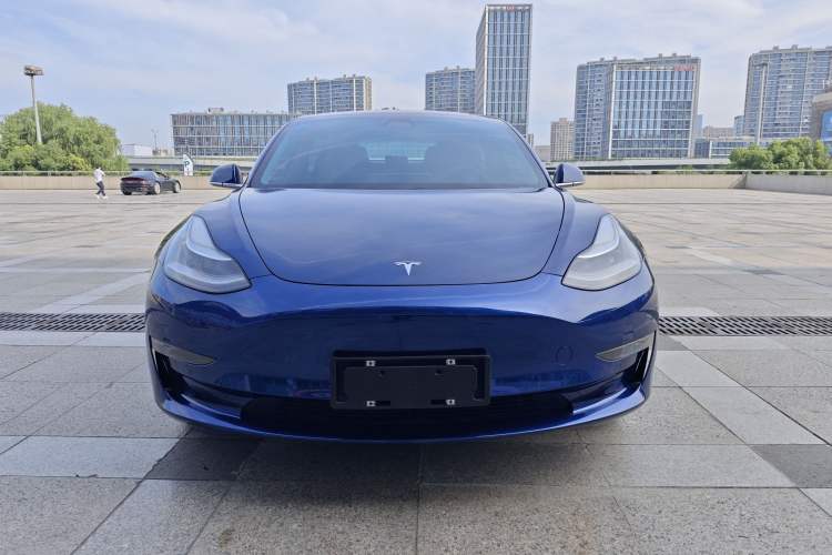 Used Tesla Model 3 2019 Long-Range Rear-Wheel-Drive Version Exterior 1
