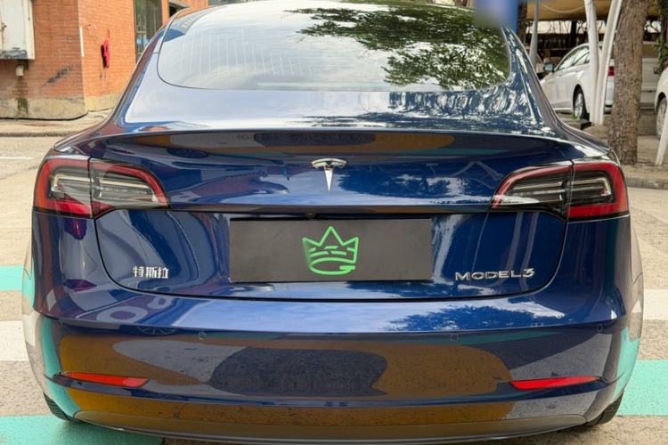 Used Tesla Model 3 2019 Long-Range Rear-Wheel-Drive Version Exterior 2