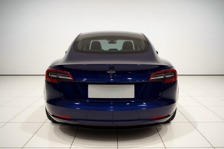 Used Tesla Model 3 2019 Long-Range Rear-Wheel-Drive Version Exterior 4