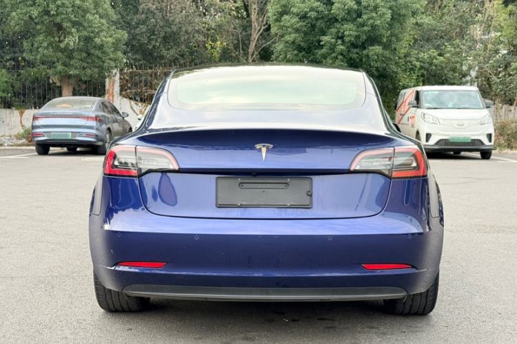 Used Tesla Model 3 2019 Long-Range Rear-Wheel-Drive Version Exterior 5