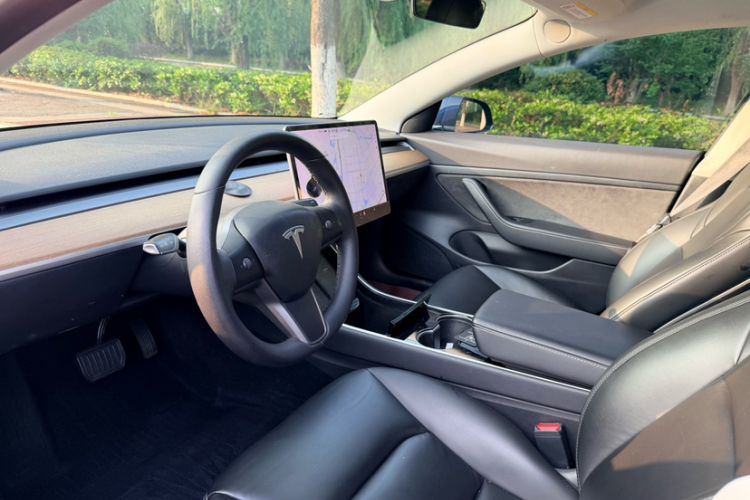 Used Tesla Model 3 2019 Standard Range Rear-Drive Upgraded Version Exterior 5