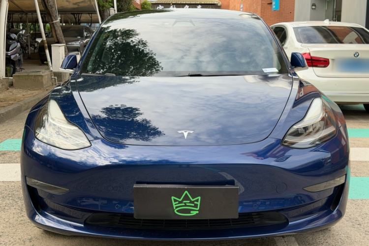 Used Tesla Model 3 2019 Long-Range Rear-Wheel-Drive Version Exterior 7