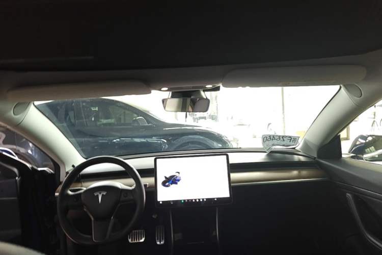 Used Tesla Model 3 2019 Long-Range Rear-Wheel-Drive Version Headliner