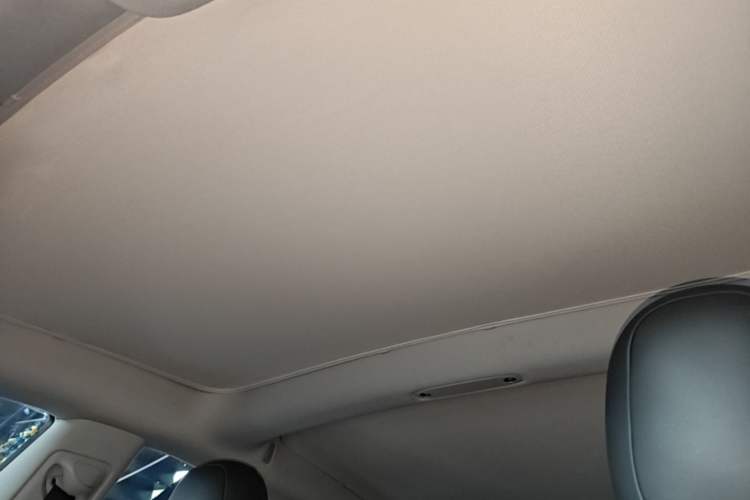 Used Tesla Model 3 2019 Standard Range Rear-Drive Upgraded Version Headliner
