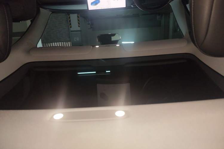 Used Tesla Model 3 2019 Long-Range Rear-Wheel-Drive Version Headliner
