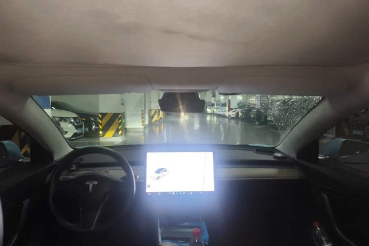 Used Tesla Model 3 2019 Standard Range Rear-Drive Upgraded Version Headliner