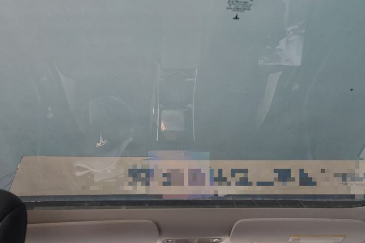 Used Tesla Model 3 2019 Long-Range Rear-Wheel-Drive Version Headliner