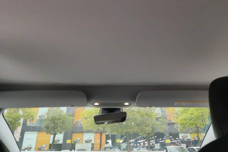Used Tesla Model 3 2019 Long-Range Rear-Wheel-Drive Version Headliner