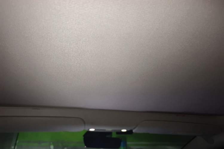Used Tesla Model 3 2019 Long-Range Rear-Wheel-Drive Version Headliner