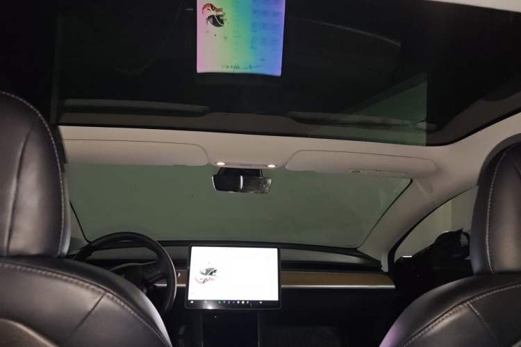 Used Tesla Model 3 2019 Standard Range Rear-Drive Upgraded Version Headliner
