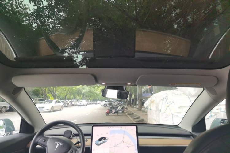 Used Tesla Model 3 2019 Performance High-Performance All-Wheel-Drive Version Headliner