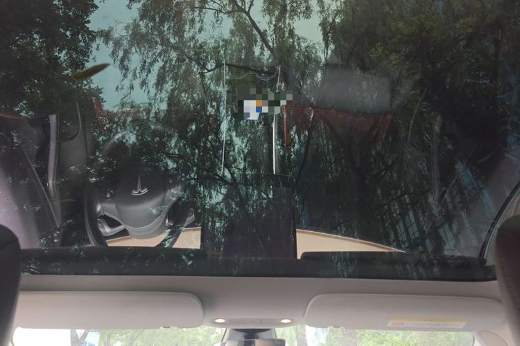 Used Tesla Model 3 2019 Long-Range Rear-Wheel-Drive Version Headliner