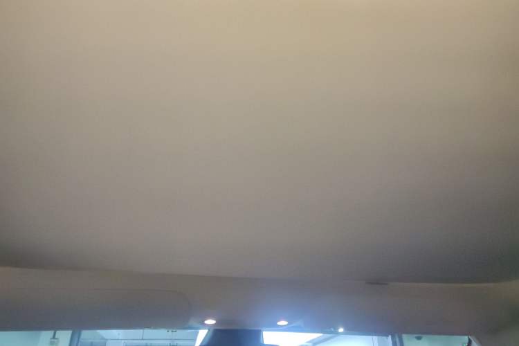 Used Tesla Model 3 2019 Standard Range Rear-Drive Upgraded Version Headliner