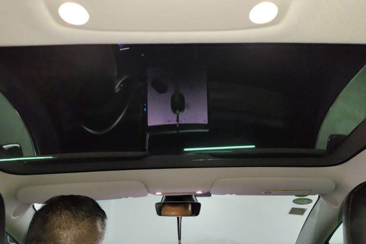 Used Tesla Model 3 2019 Standard Range Rear-Drive Upgraded Version Headliner