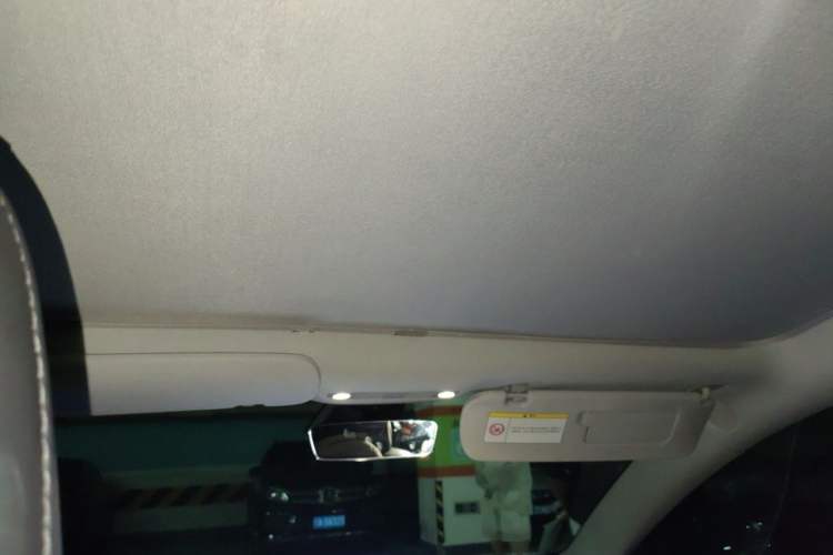 Used Tesla Model 3 2019 Long-Range All-Wheel-Drive Version Headliner
