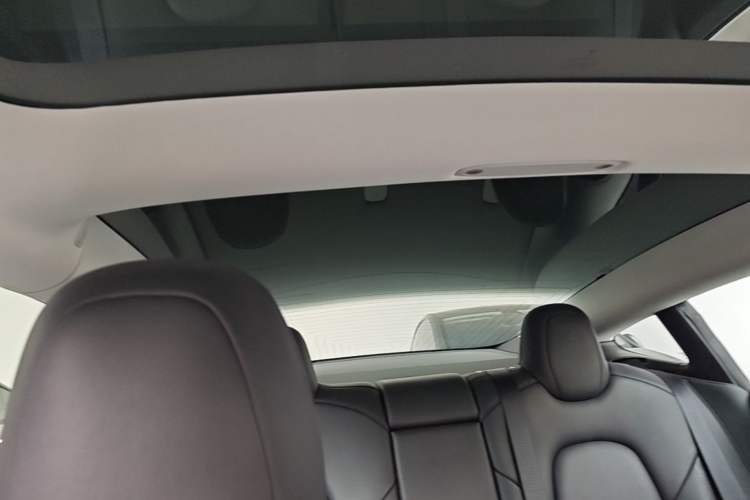 Used Tesla Model 3 2019 Long-Range All-Wheel-Drive Version Headliner