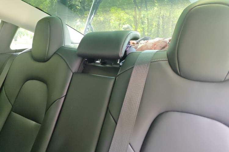 Used Tesla Model 3 2019 Standard Range Rear-Drive Upgraded Version Headliner