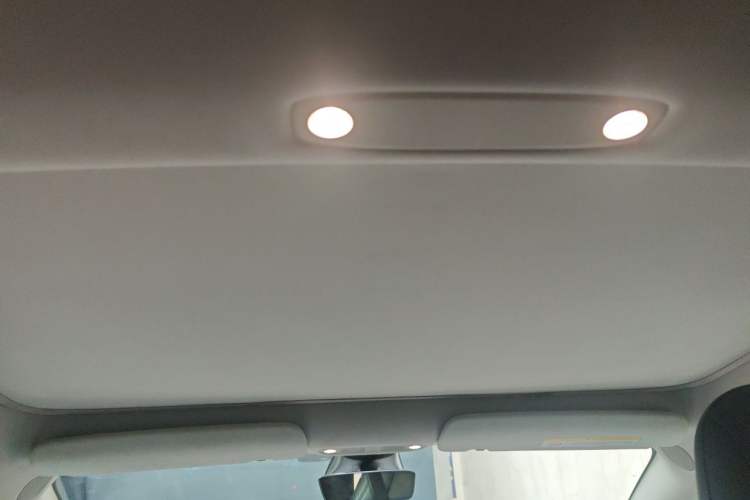 Used Tesla Model 3 2019 Standard Range Rear-Drive Upgraded Version Headliner