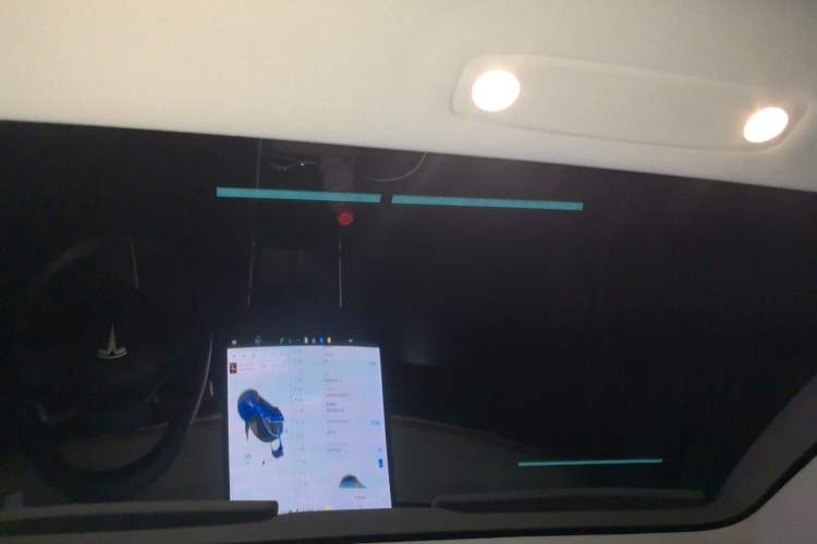 Used Tesla Model 3 2019 Long-Range Rear-Wheel-Drive Version Headliner