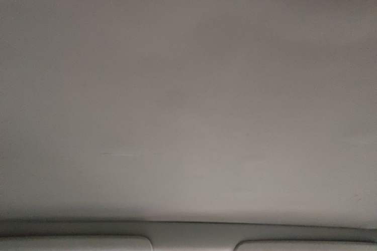 Used Tesla Model 3 2019 Long-Range All-Wheel-Drive Version Headliner