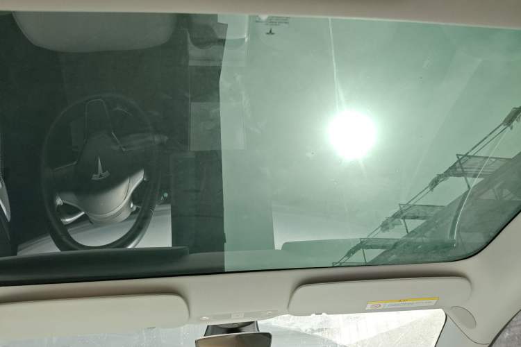 Used Tesla Model 3 2019 Long-Range All-Wheel-Drive Version Headliner