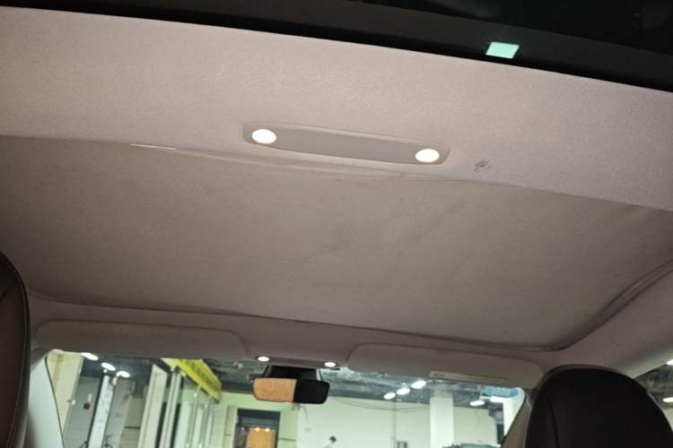 Used Tesla Model 3 2019 Standard Range Rear-Wheel Drive Upgraded Version (60 kWh) Headliner