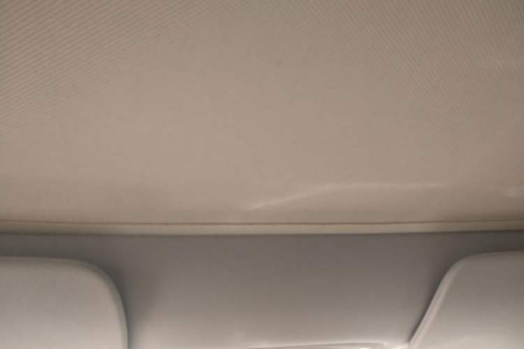 Used Tesla Model 3 2019 Standard Range Rear-Drive Upgraded Version Headliner