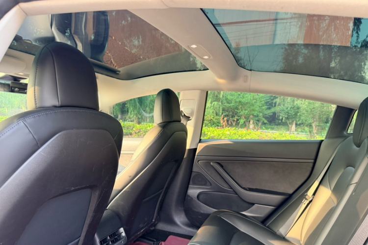 Used Tesla Model 3 2019 Standard Range Rear-Drive Upgraded Version Interior 5