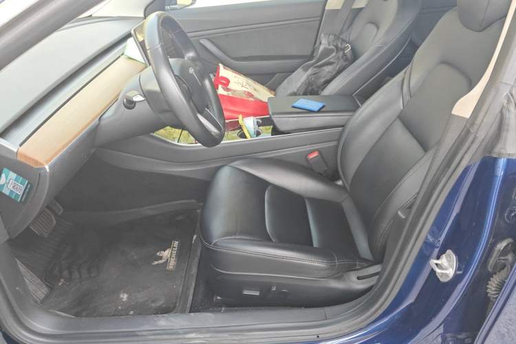 Used Tesla Model 3 2019 Long-Range All-Wheel-Drive Version Left Front Seat